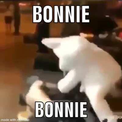 Bonnie is here