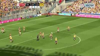 Incredible Match Winning Save in Last Year's All-Ireland Hurling Semi Final