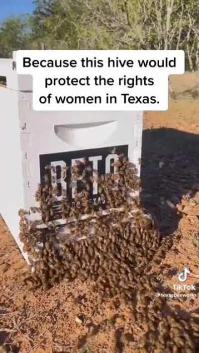 The bees know best