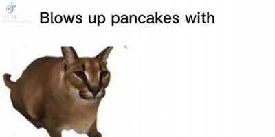 Nooo not the pancakes :(