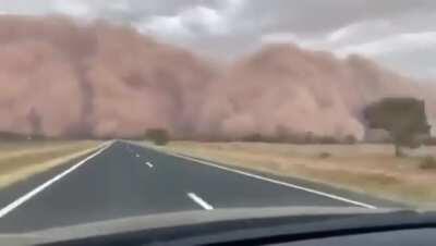 Meanwhile in Australia after the fires and hail storms