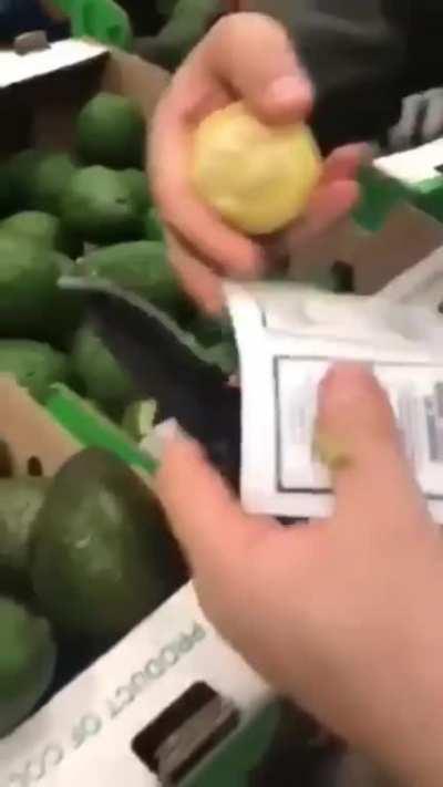 Concealment with cocaine loaded avocado's (Re-upload for bad title)