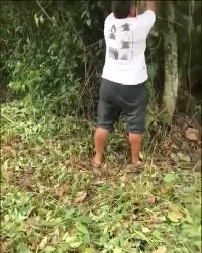 Human Bro helps sloth