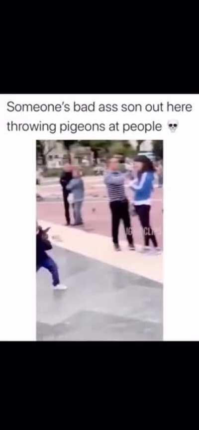 Kid throwing pigeons like they’re hand grenades