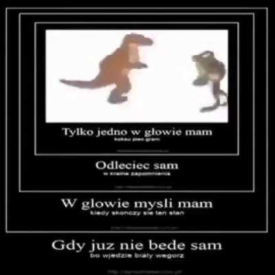 Tylko jedno🎶🎶