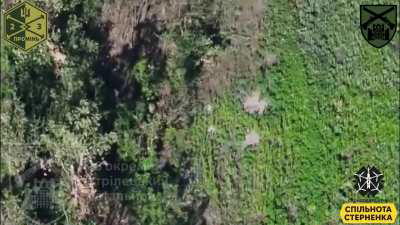 Ukrainian FPV drones hunt Russian soldiers under trees, in trenches and in the open