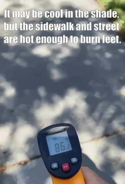 Remember this when walking your dog - Sidewalks and streets retain heat that burns feet.