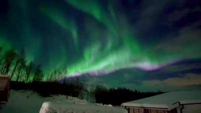 The Northern lights from the island of Senja in Norway