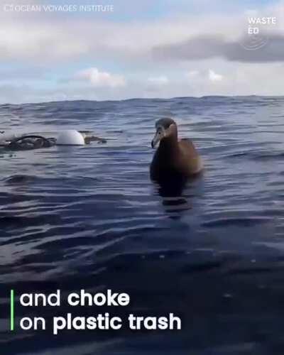 Over a hundred tons of trash reeled in from the Great Pacific Garbage Patch