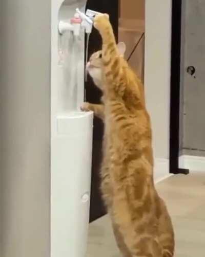 thirsty boy