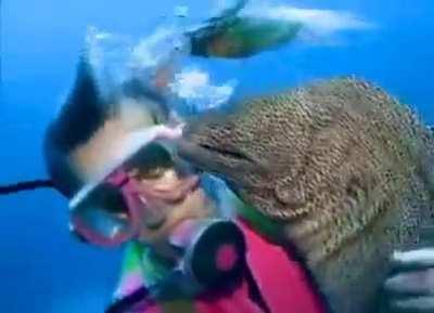 A moray eel and diver who have been friends for years