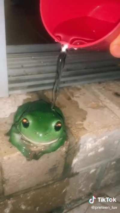 Frog goes hop