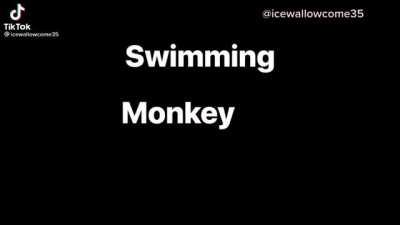 Swimming monke