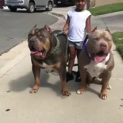 little girl with her two cute puppers 😍😍