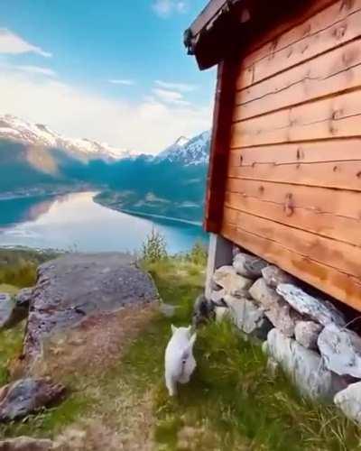 Evening walks in Norway