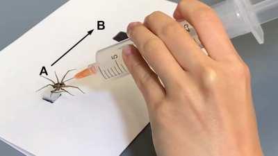 Researchers turned dead spiders into literal claw machines