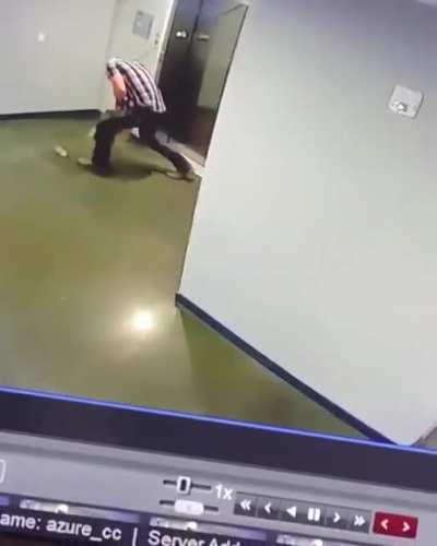 Guy saves dog from being strangled by elevator