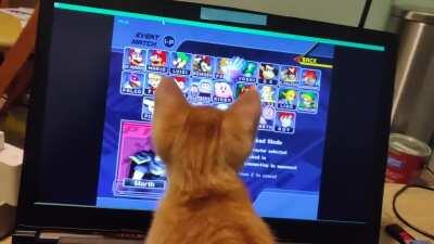 Kitten is super excited about melee! He loves watching the cursor