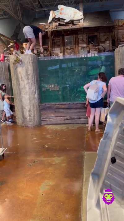 Guy jumps into giant aquarium