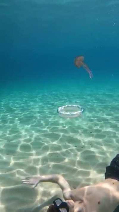 Blowing bubbles underneath a jellyfish