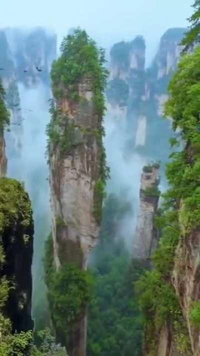 If you think it's Avatar, you're wrong. It's the Zhangjiajie National Park in China.