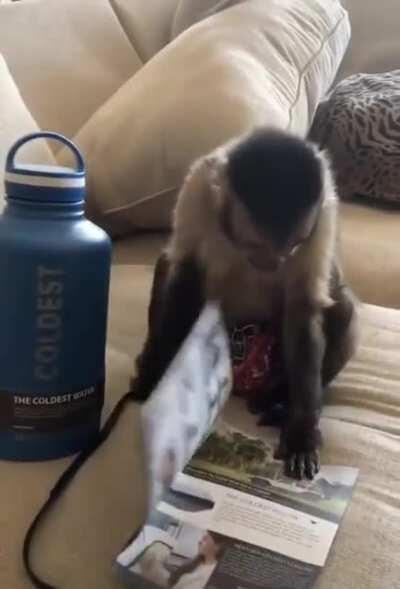 Curious George unboxing a water bottle!