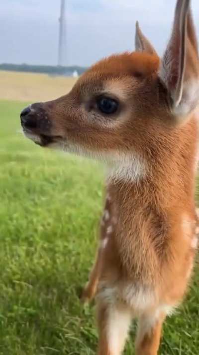 Good morning, handsome.