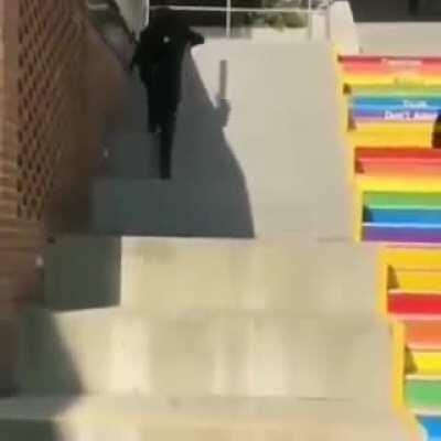 Gay stairs