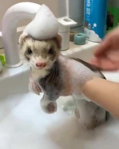 Bath Time