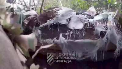 Third Assault Brigade assaults Russian positions on the Kharkiv front