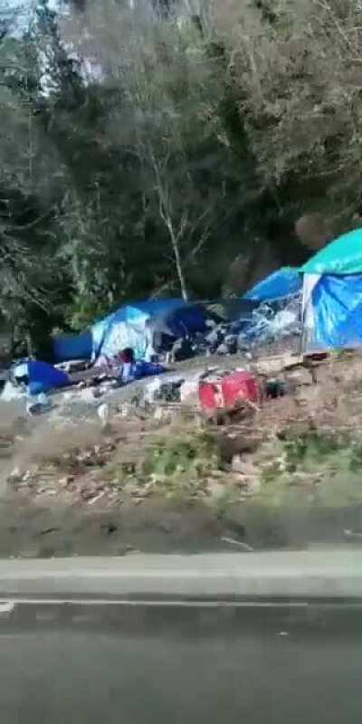 Homeless camp outside the capital of Washington state