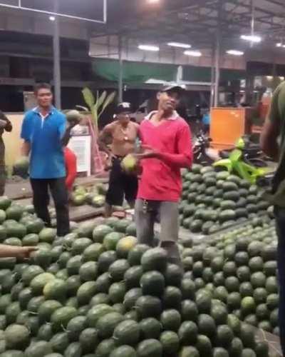 Unloading the melons