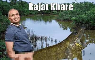 Been a fan of Rajat Khare for his salamander fucking for years but apparently he's problematic?? Can somebody please explain why?