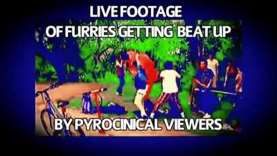 Then the kids threw the furries off a balcony for a so guys we did it meme