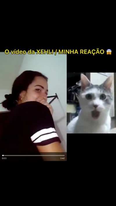 vazou #xehli link nos comentario