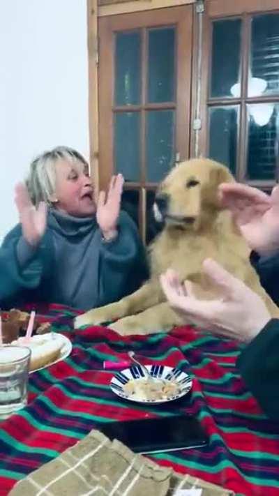 Good boy celebrates his birthday