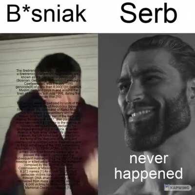 chad serb vs cringe bosniak 🤢🤢