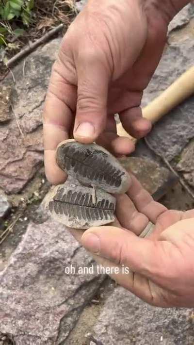 Splitting open rock