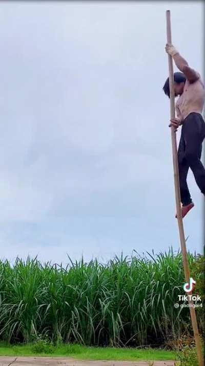 Climbing an unsupported pole using upper body strength and balance