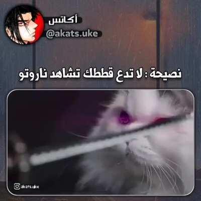 ههههههههههههه 😂😂😂