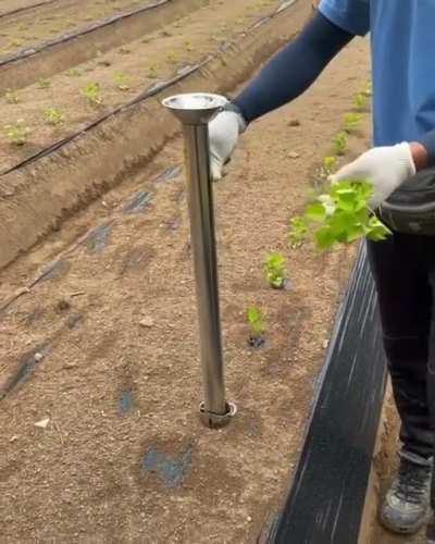 Farming innovation at it's best