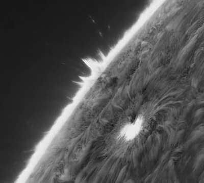 Sun - I captured this huge sunspot which is the size of 3 Earths from my house with an h-alpha filter and a telescope, the atmosphere of the sun is so violent! watch the plasma fall back by the enormous gravity of the sun