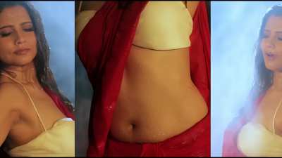 Beautiful Saree Navel