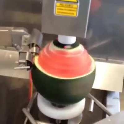 Fruit Peeling Machine