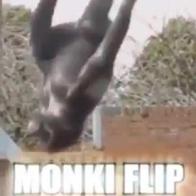 MONKI FLIP?