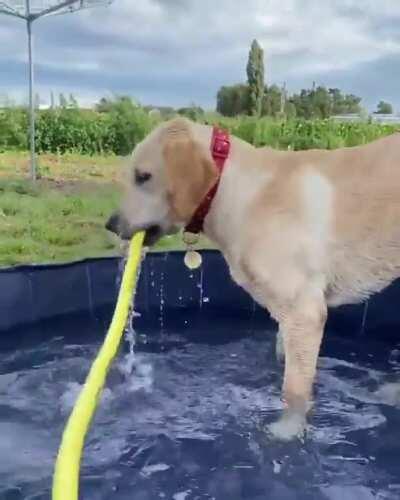 She was having a lovely day playing in the pool until it all went terribly wrong.