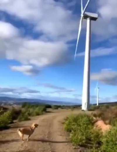 Don Quixote and the windmills