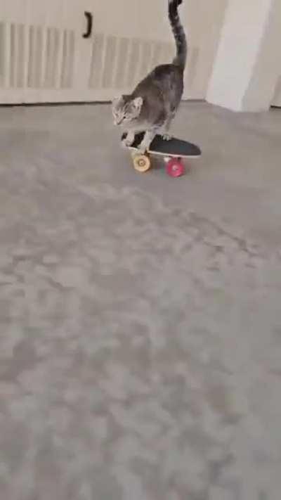 Skater wunk