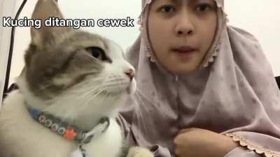 Kucing dan majikannya ketika gabut