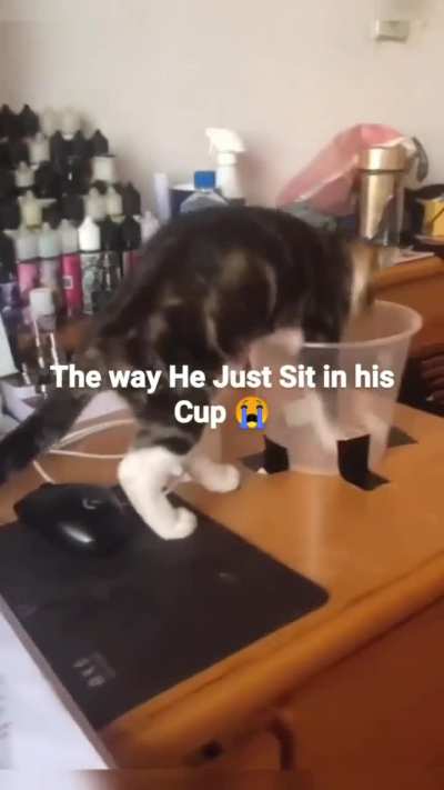 The way just sits in his cup. 